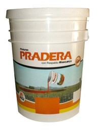 [13399101020] Pradera latex cielorasos  x 20 lts.